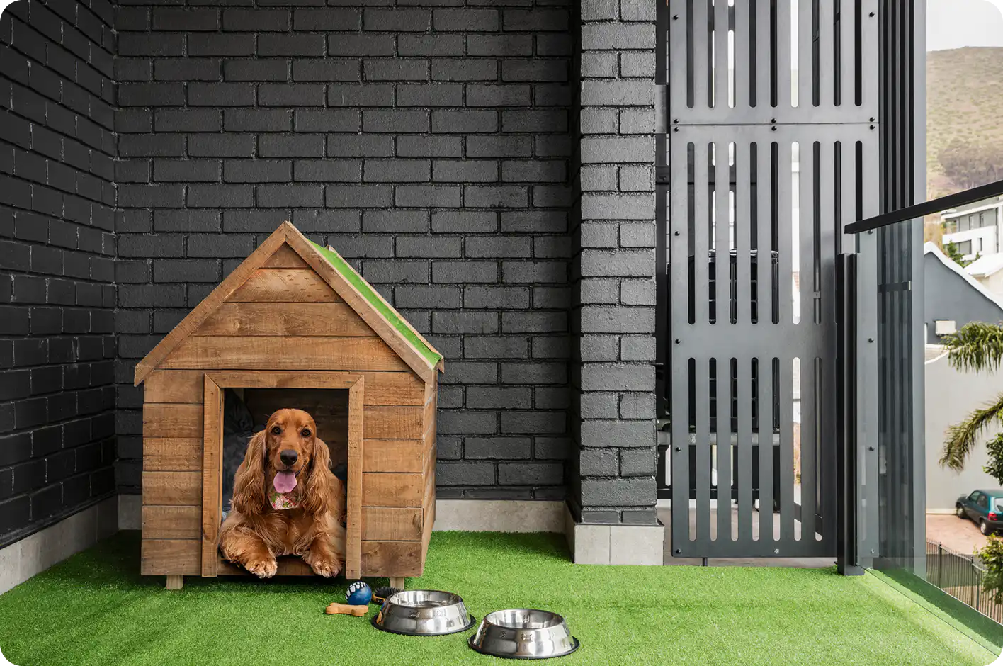 Dog relaxing in a dedicated pooch area at Station House